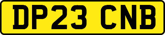 DP23CNB