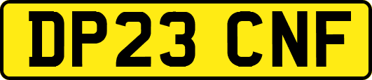 DP23CNF