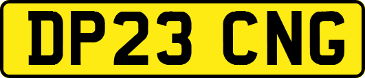 DP23CNG