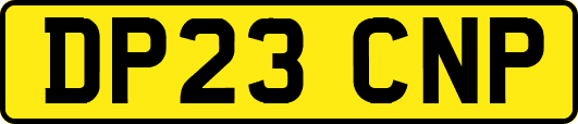 DP23CNP