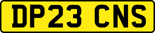 DP23CNS
