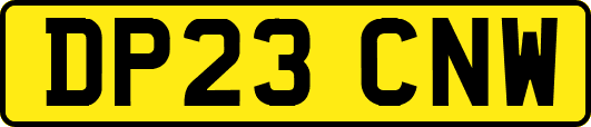 DP23CNW