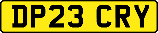 DP23CRY