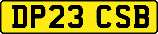 DP23CSB
