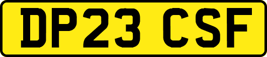DP23CSF
