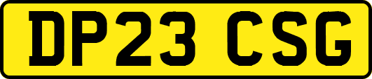 DP23CSG