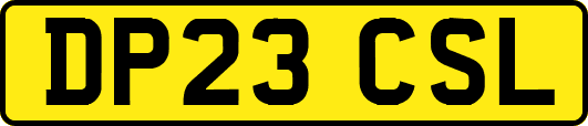 DP23CSL