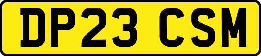 DP23CSM