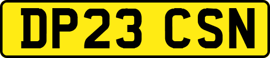 DP23CSN