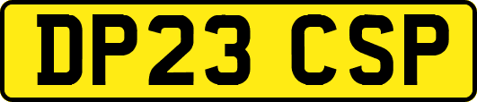 DP23CSP