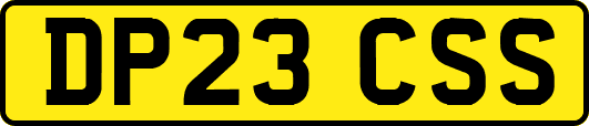 DP23CSS