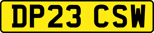 DP23CSW