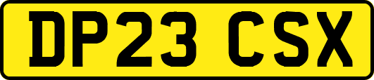 DP23CSX