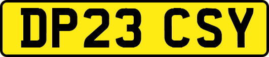 DP23CSY