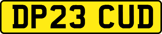 DP23CUD