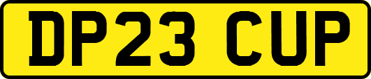 DP23CUP