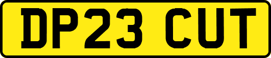 DP23CUT