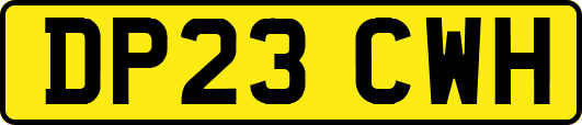DP23CWH