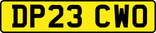 DP23CWO