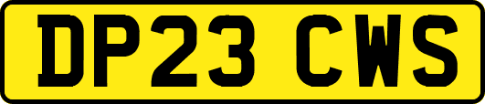 DP23CWS