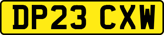 DP23CXW