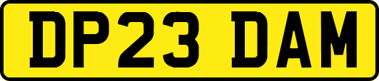 DP23DAM