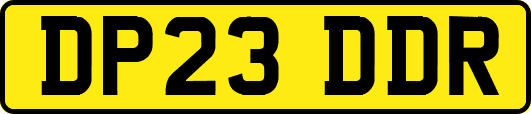 DP23DDR