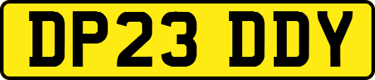 DP23DDY