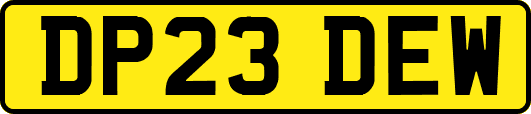 DP23DEW