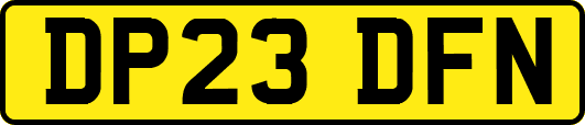 DP23DFN
