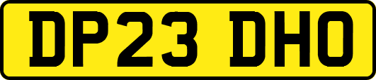 DP23DHO