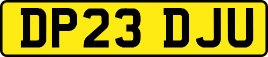 DP23DJU