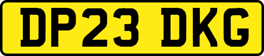 DP23DKG