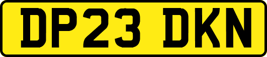 DP23DKN