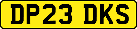 DP23DKS