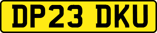 DP23DKU