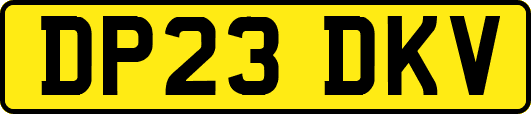 DP23DKV