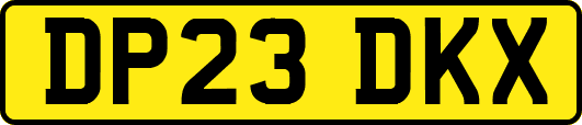 DP23DKX
