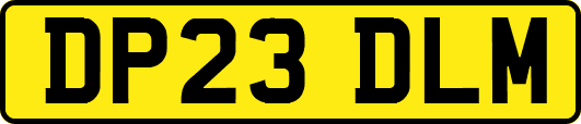 DP23DLM
