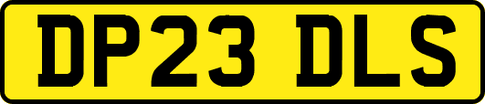 DP23DLS