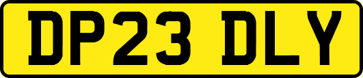 DP23DLY