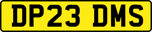 DP23DMS