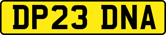 DP23DNA