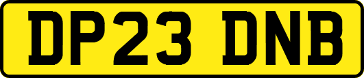 DP23DNB