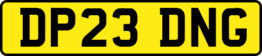DP23DNG