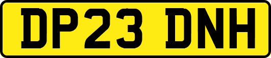 DP23DNH