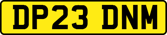 DP23DNM