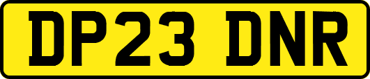DP23DNR