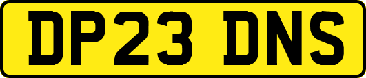 DP23DNS