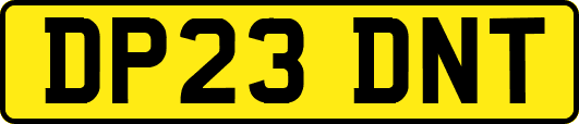 DP23DNT